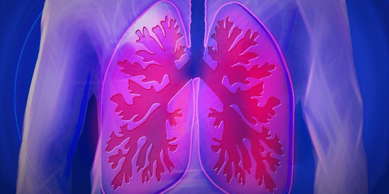 lung human